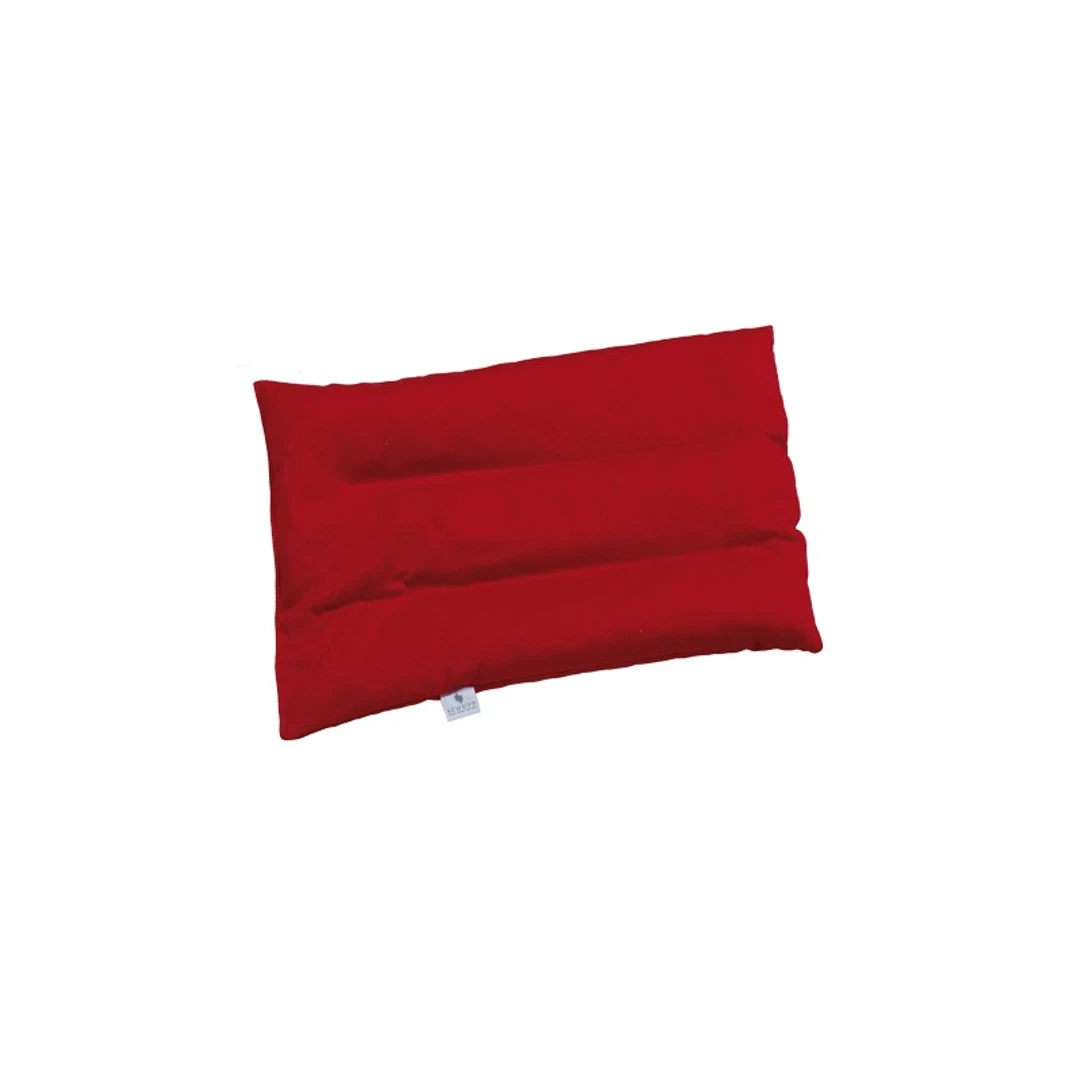 [CCFCS]-Coussin-Aux-Noyaux-De-Cerises-40x30cm-Schupp-Ref-173299-2.webp