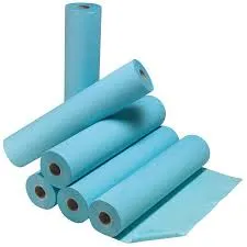 Drap d'Examen Bleu Plastifié 50X38cm 180 Formats LCH DRP-01