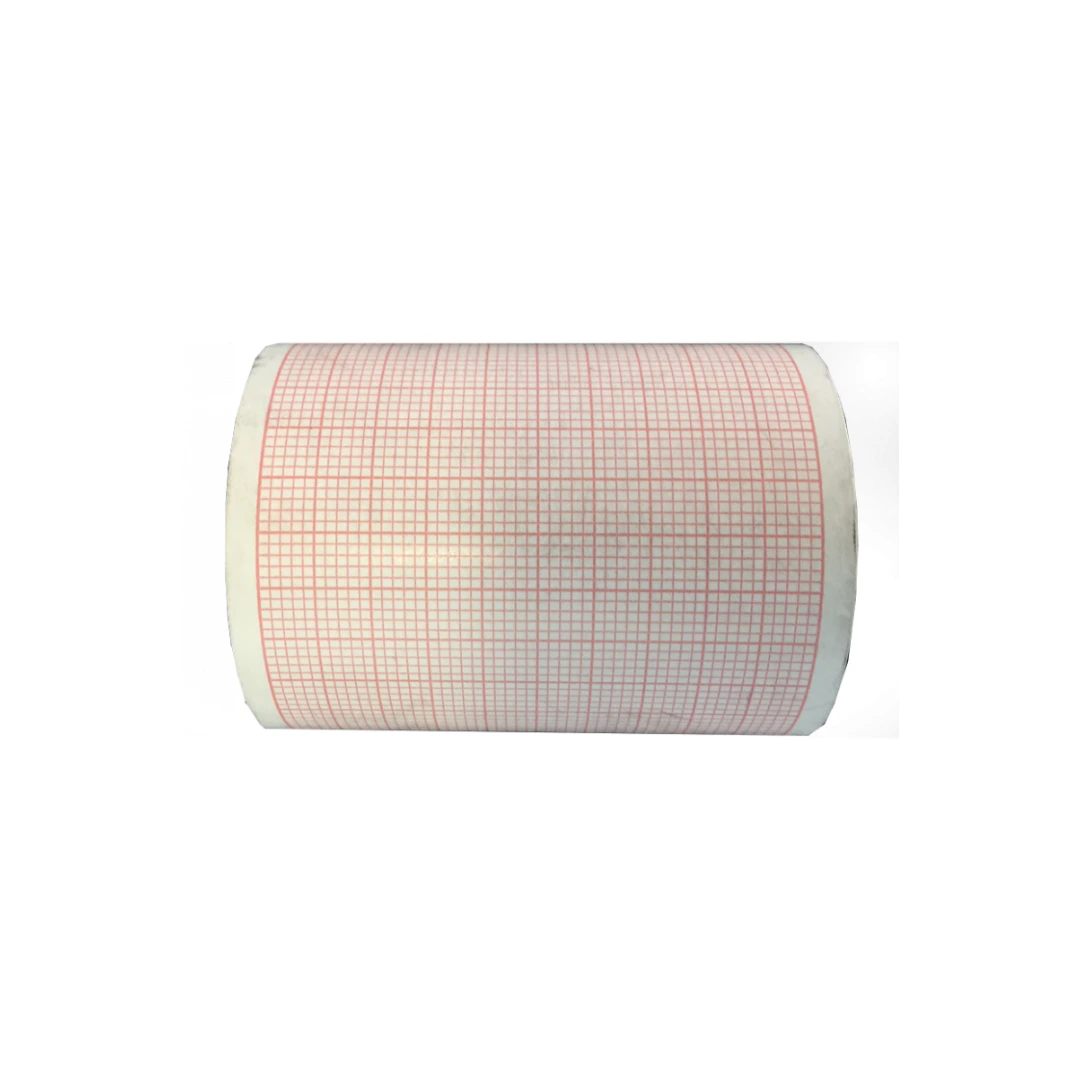 Papier ECG Cardipocket 57mmx20m Sachet de 10 Rouleaux 1005727