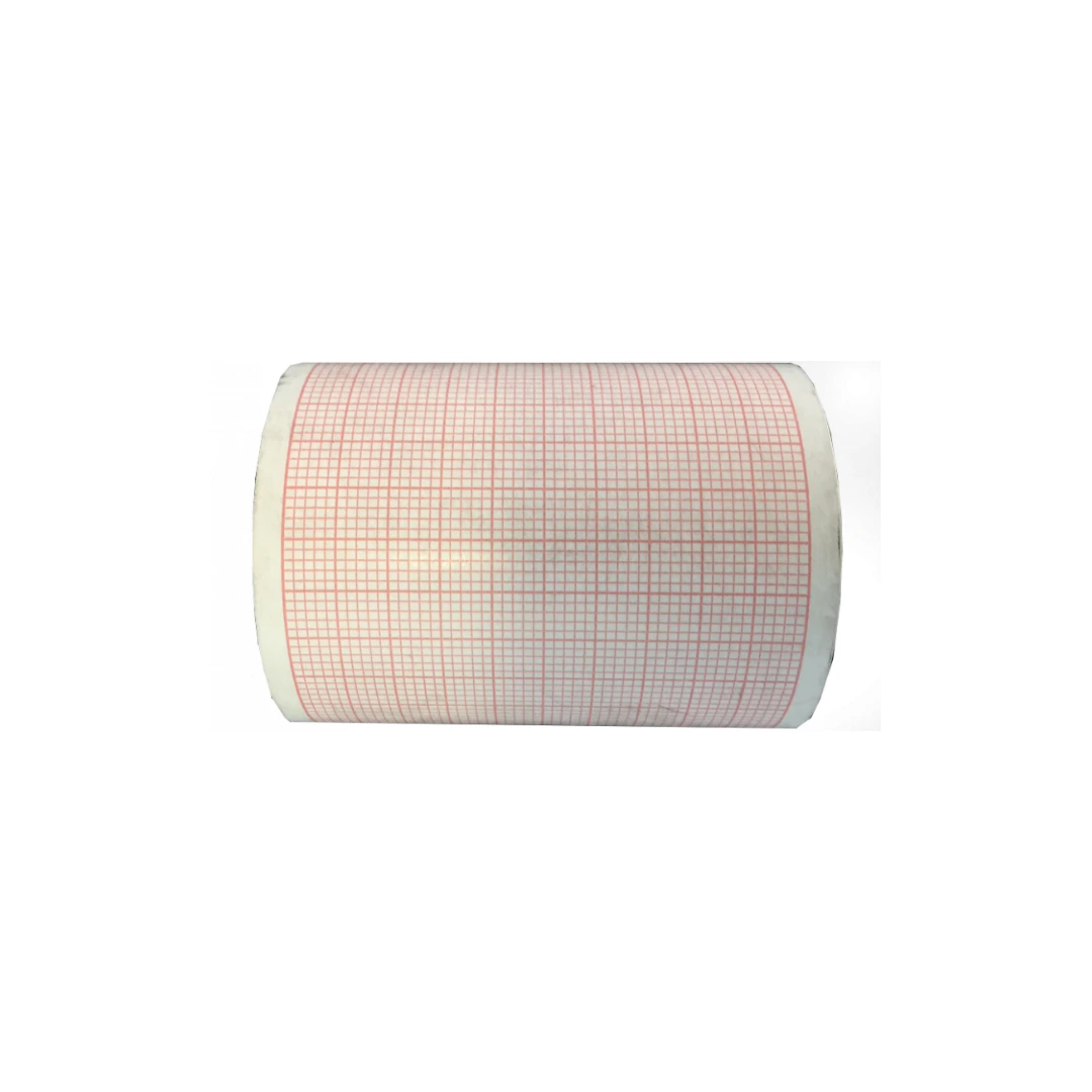 Papier ECG Micro Replay 50mm x 15m Lot de 10 Rlx 1005010